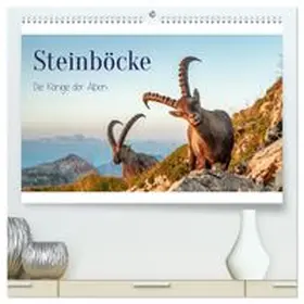 CALVENDO / Kramer |  Steinböcke - Die Könige der Alpen (hochwertiger Premium Wandkalender 2027 DIN A2 quer), Kunstdruck in Hochglanz | Sonstiges |  Sack Fachmedien