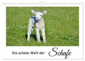 CALVENDO / Rohde |  Die schöne Welt der Schafe (Wandkalender 2027 DIN A4 quer), CALVENDO Monatskalender | Sonstiges |  Sack Fachmedien
