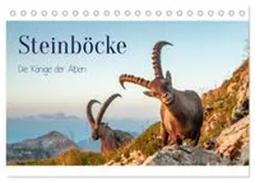 CALVENDO / Kramer |  Steinböcke - Die Könige der Alpen (Tischkalender 2027 DIN A5 quer), CALVENDO Monatskalender | Sonstiges |  Sack Fachmedien
