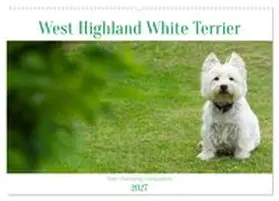 CALVENDO / Rohde |  West Highland White Terrier - Your charming companion (Wall Calendar 2027 DIN A2 landscape), CALVENDO 12 Month Wall Calendar | Sonstiges |  Sack Fachmedien