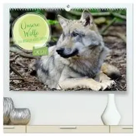 CALVENDO / Rohde |  Unsere Wölfe - Ein Wildtier kehrt zurück (hochwertiger Premium Wandkalender 2027 DIN A2 quer), Kunstdruck in Hochglanz | Sonstiges |  Sack Fachmedien