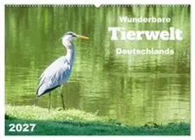 CALVENDO / Rohde |  Wunderbare Tierwelt Deutschlands (Wandkalender 2027 DIN A2 quer), CALVENDO Monatskalender | Sonstiges |  Sack Fachmedien