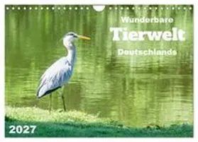 CALVENDO / Rohde |  Wunderbare Tierwelt Deutschlands (Wandkalender 2027 DIN A4 quer), CALVENDO Monatskalender | Sonstiges |  Sack Fachmedien