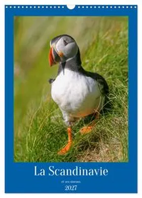 CALVENDO / Gaymard |  La Scandinavie et ses oiseaux (Calendrier mural 2027 DIN A3 horizontal), CALVENDO calendrier mensuel | Sonstiges |  Sack Fachmedien