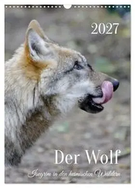 CALVENDO / Rohde |  Der Wolf - Isegrim in den heimischen Wäldern - Kalender 2027 (Wandkalender 2027 DIN A3 hoch), CALVENDO Monatskalender | Sonstiges |  Sack Fachmedien