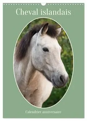 CALVENDO / Kohrt |  Cheval islandais - Calendrier anniversaire (Calendrier mural 2027 DIN A3 horizontal), CALVENDO calendrier mensuel | Sonstiges |  Sack Fachmedien