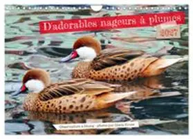 CALVENDO / Kruse |  D'adorables nageurs à plumes (Calendrier mural 2027 DIN A4 vertical), CALVENDO calendrier mensuel | Sonstiges |  Sack Fachmedien