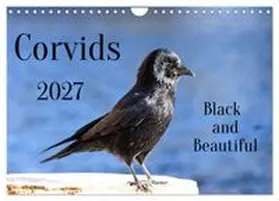 CALVENDO / Voss |  Corvids - Black and Beautiful (Wall Calendar 2027 DIN A4 landscape), CALVENDO 12 Month Wall Calendar | Sonstiges |  Sack Fachmedien