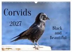 CALVENDO / Voss |  Corvids - Black and Beautiful (Wall Calendar 2027 DIN A3 landscape), CALVENDO 12 Month Wall Calendar | Sonstiges |  Sack Fachmedien