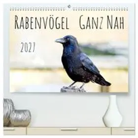 CALVENDO / Voss |  Rabenvögel - ganz nah (hochwertiger Premium Wandkalender 2027 DIN A2 quer), Kunstdruck in Hochglanz | Sonstiges |  Sack Fachmedien