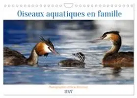CALVENDO / Duvernay - Elenarts |  Oiseaux aquatiques en famille (Calendrier mural 2027 DIN A4 vertical), CALVENDO calendrier mensuel | Sonstiges |  Sack Fachmedien