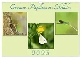 CALVENDO / MEURANT |  Oiseaux, Papillons et Libellules (Calendrier mural 2027 DIN A3 vertical), CALVENDO calendrier mensuel | Sonstiges |  Sack Fachmedien
