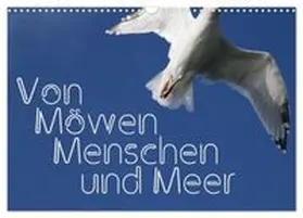 CALVENDO / Reichenauer |  Von Möwen, Menschen und Meer (Wandkalender 2027 DIN A3 quer), CALVENDO Monatskalender | Sonstiges |  Sack Fachmedien