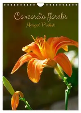 CALVENDO / Probst |  Concordia floralis (Calendrier mural 2027 DIN A4 horizontal), CALVENDO calendrier mensuel | Sonstiges |  Sack Fachmedien