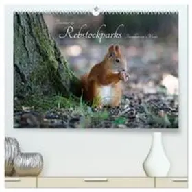 CALVENDO / Fuchs |  Bewohner des Rebstockparks Frankfurt am Main (hochwertiger Premium Wandkalender 2027 DIN A2 quer), Kunstdruck in Hochglanz | Sonstiges |  Sack Fachmedien