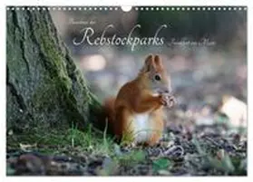 CALVENDO / Fuchs |  Bewohner des Rebstockparks Frankfurt am Main (Wandkalender 2027 DIN A3 quer), CALVENDO Monatskalender | Sonstiges |  Sack Fachmedien
