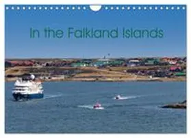 CALVENDO / Schoen, Berlin |  In the Falkland Islands (Wall Calendar 2027 DIN A4 landscape), CALVENDO 12 Month Wall Calendar | Sonstiges |  Sack Fachmedien