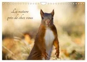 CALVENDO / Lherbier |  La nature près de chez vous (Calendrier mural 2027 DIN A4 vertical), CALVENDO calendrier mensuel | Sonstiges |  Sack Fachmedien