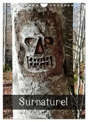 CALVENDO / Albuisson |  Surnaturel (Calendrier mural 2027 DIN A4 horizontal), CALVENDO calendrier mensuel | Sonstiges |  Sack Fachmedien