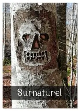 CALVENDO / Albuisson |  Surnaturel (Calendrier mural 2027 DIN A3 horizontal), CALVENDO calendrier mensuel | Sonstiges |  Sack Fachmedien