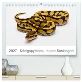 CALVENDO / Lang |  Königspythons - bunte Schlangen (hochwertiger Premium Wandkalender 2027 DIN A2 quer), Kunstdruck in Hochglanz | Sonstiges |  Sack Fachmedien