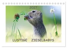 CALVENDO / Lang |  Lustige Zieselbabys (Tischkalender 2027 DIN A5 quer), CALVENDO Monatskalender | Sonstiges |  Sack Fachmedien