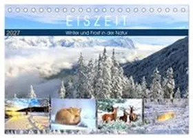 CALVENDO / Hurley |  Eiszeit. Winter und Frost in der Natur (Tischkalender 2027 DIN A5 quer), CALVENDO Monatskalender | Sonstiges |  Sack Fachmedien