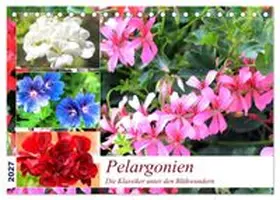 CALVENDO / Hurley |  Pelargonien. Die Klassiker unter den Blühwundern (Tischkalender 2027 DIN A5 quer), CALVENDO Monatskalender | Sonstiges |  Sack Fachmedien