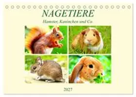 CALVENDO / Hurley |  Nagetiere. Hamster, Kaninchen und Co. (Tischkalender 2027 DIN A5 quer), CALVENDO Monatskalender | Sonstiges |  Sack Fachmedien