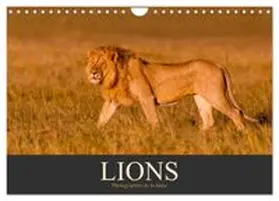 CALVENDO / Krutz |  Lions - Photographies de la faune (Calendrier mural 2027 DIN A4 vertical), CALVENDO calendrier mensuel | Sonstiges |  Sack Fachmedien