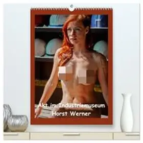 CALVENDO / Werner |  Akt im Industriemuseum (hochwertiger Premium Wandkalender 2027 DIN A2 hoch), Kunstdruck in Hochglanz | Sonstiges |  Sack Fachmedien
