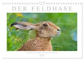 CALVENDO / Breuer |  Der Feldhase (Wandkalender 2027 DIN A4 quer), CALVENDO Monatskalender | Sonstiges |  Sack Fachmedien