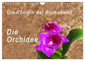 CALVENDO / Rosenthal |  Die Königin der Blumenwelt, die Orchidee (Wandkalender 2027 DIN A4 quer), CALVENDO Monatskalender | Sonstiges |  Sack Fachmedien