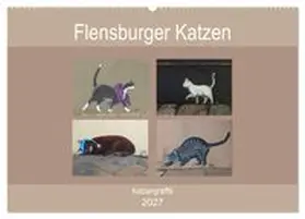 CALVENDO / Busch | Flensburger Katzen (Wandkalender 2027 DIN A2 quer), CALVENDO Monatskalender | Sonstiges | 978-3-569-71032-0 | www.sack.de