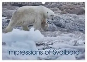 CALVENDO / Franz Josef Hering |  Impressions of Svalbard (Wall Calendar 2027 DIN A3 landscape), CALVENDO 12 Month Wall Calendar | Sonstiges |  Sack Fachmedien