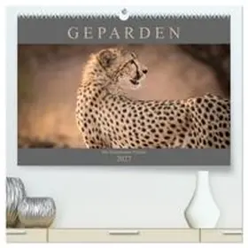 CALVENDO / Pavlowsky |  Geparden - Die Schönheiten Afrikas (hochwertiger Premium Wandkalender 2027 DIN A2 quer), Kunstdruck in Hochglanz | Sonstiges |  Sack Fachmedien
