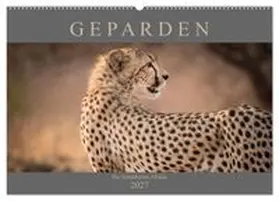 CALVENDO / Pavlowsky |  Geparden - Die Schönheiten Afrikas (Wandkalender 2027 DIN A2 quer), CALVENDO Monatskalender | Sonstiges |  Sack Fachmedien
