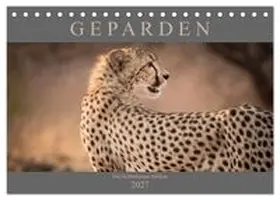 CALVENDO / Pavlowsky |  Geparden - Die Schönheiten Afrikas (Tischkalender 2027 DIN A5 quer), CALVENDO Monatskalender | Sonstiges |  Sack Fachmedien