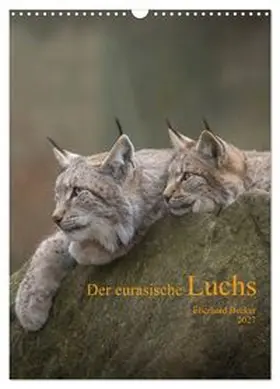 CALVENDO / Becker |  Der eurasische Luchs (Wandkalender 2027 DIN A3 hoch), CALVENDO Monatskalender | Sonstiges |  Sack Fachmedien