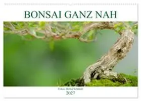 CALVENDO / Schmidt |  Bonsai ganz nah (Wandkalender 2027 DIN A2 quer), CALVENDO Monatskalender | Sonstiges |  Sack Fachmedien