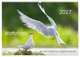 CALVENDO / Will |  Wattvögel an der Friesischen IJsselmeerküste (Wandkalender 2027 DIN A2 quer), CALVENDO Monatskalender | Sonstiges |  Sack Fachmedien