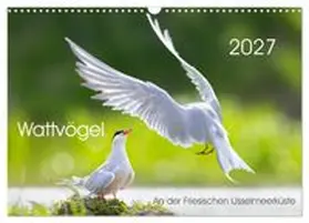 CALVENDO / Will |  Wattvögel an der Friesischen IJsselmeerküste (Wandkalender 2027 DIN A3 quer), CALVENDO Monatskalender | Sonstiges |  Sack Fachmedien