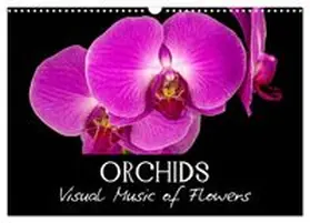 CALVENDO / Verenin (Vronja Photon) |  Orchids (Wall Calendar 2027 DIN A3 landscape), CALVENDO 12 Month Wall Calendar | Sonstiges |  Sack Fachmedien