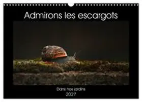 CALVENDO / Christina |  Admirons les escargots (Calendrier mural 2027 DIN A3 vertical), CALVENDO calendrier mensuel | Sonstiges |  Sack Fachmedien
