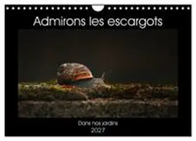 CALVENDO / Christina |  Admirons les escargots (Calendrier mural 2027 DIN A4 vertical), CALVENDO calendrier mensuel | Sonstiges |  Sack Fachmedien