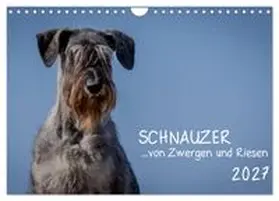 CALVENDO / Janz |  Schnauzer... von Zwergen und Riesen 2027 (Wandkalender 2027 DIN A4 quer), CALVENDO Monatskalender | Sonstiges |  Sack Fachmedien