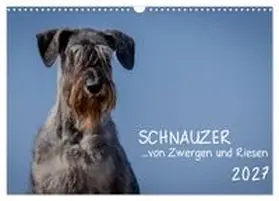 CALVENDO / Janz |  Schnauzer... von Zwergen und Riesen 2027 (Wandkalender 2027 DIN A3 quer), CALVENDO Monatskalender | Sonstiges |  Sack Fachmedien