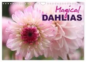 CALVENDO / Kruse |  Magical Dahlias (Wall Calendar 2027 DIN A4 landscape), CALVENDO 12 Month Wall Calendar | Sonstiges |  Sack Fachmedien