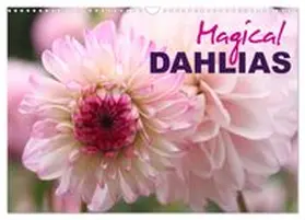 CALVENDO / Kruse |  Magical Dahlias (Wall Calendar 2027 DIN A3 landscape), CALVENDO 12 Month Wall Calendar | Sonstiges |  Sack Fachmedien