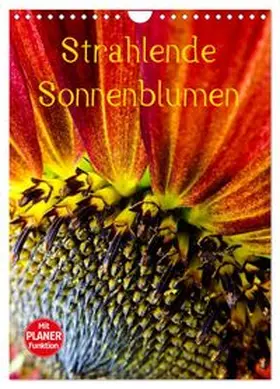 CALVENDO / Sigwarth |  Strahlende Sonnenblumen (Wandkalender 2027 DIN A4 hoch), CALVENDO Monatskalender | Sonstiges |  Sack Fachmedien